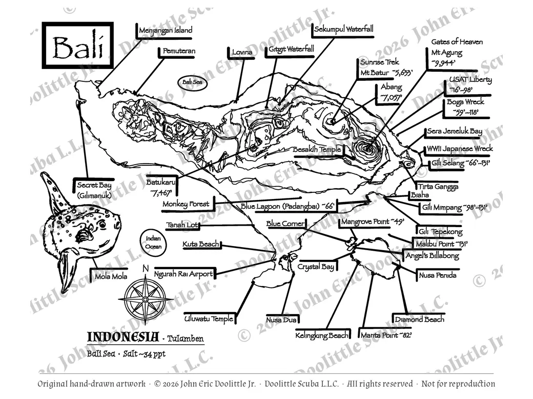 Bali plate, watermarked preview of the filed artwork