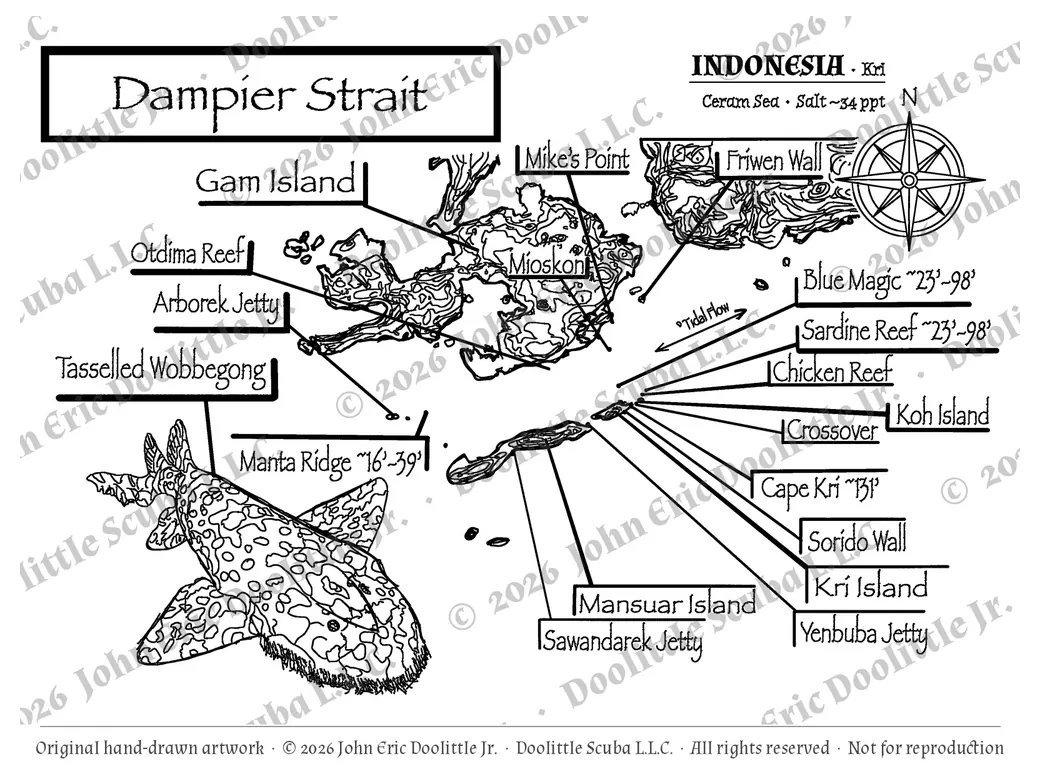 Dampier Strait plate, watermarked preview of the filed artwork