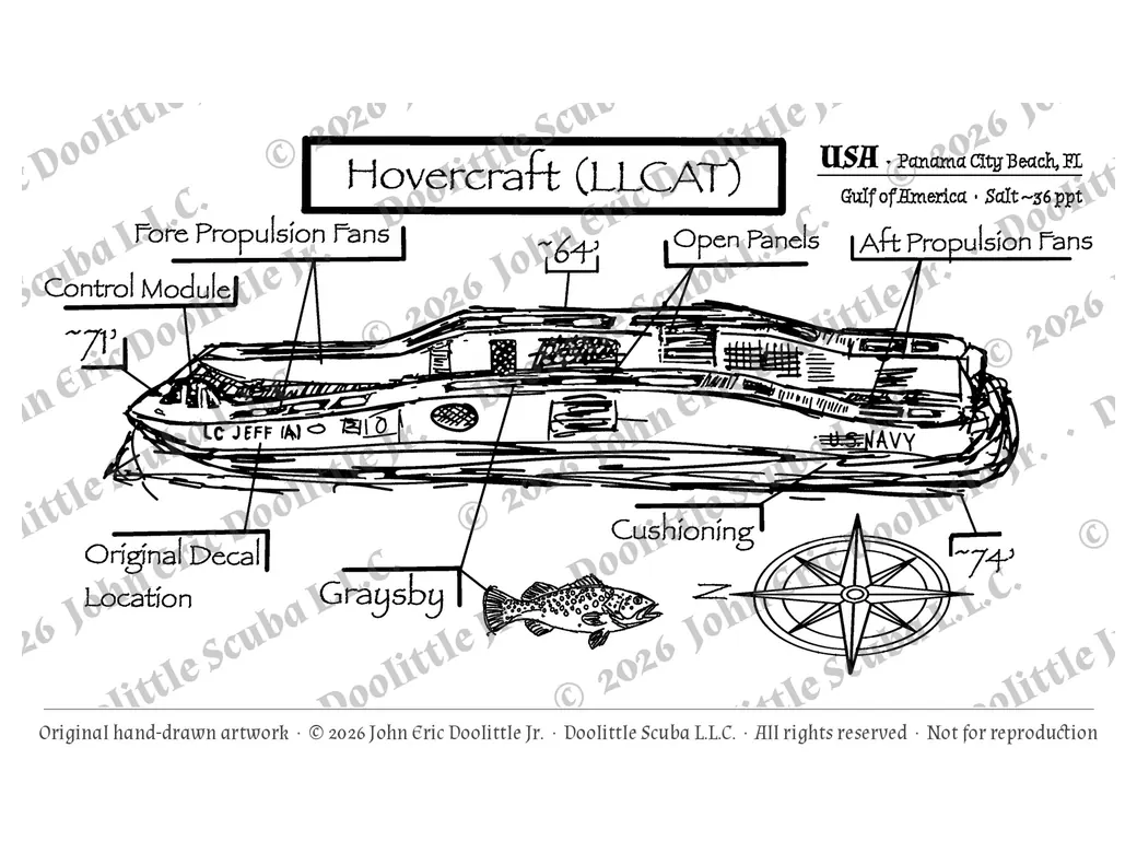 Navy LLCAT plate, watermarked preview of the filed artwork