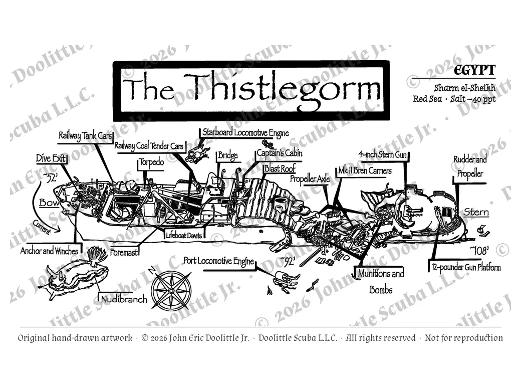 The Thistlegorm plate, watermarked preview of the filed artwork