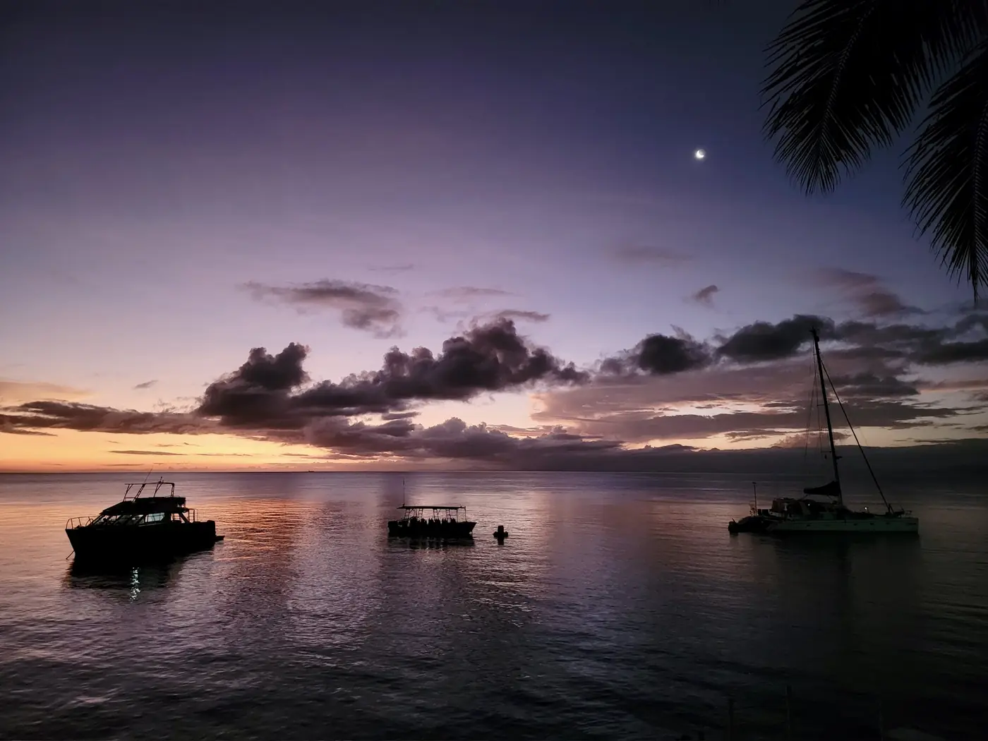 Dive boats and a catamaran at anchor under a crescent moon at dusk, Taveuni, Fiji