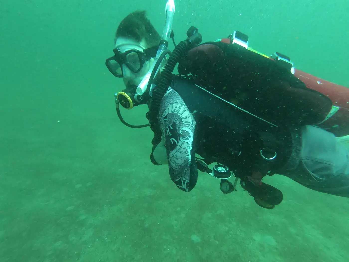 Eric swimming through green water in the Gulf of America