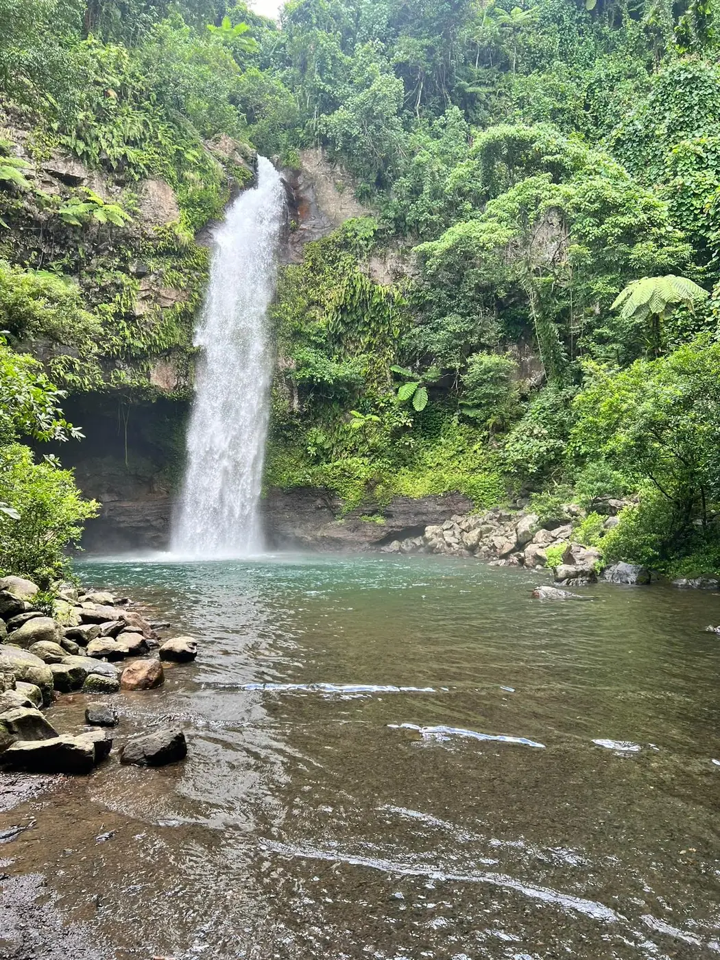 A rainforest waterfall pouring into a green pool on Taveuni, Fiji