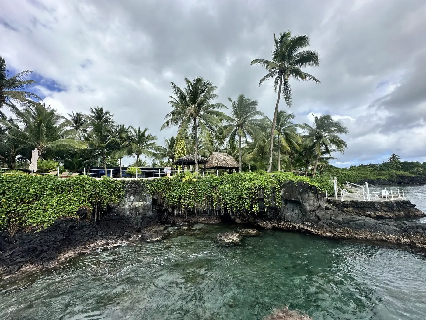Palm-lined volcanic shoreline of Paradise Resort on Taveuni, Fiji