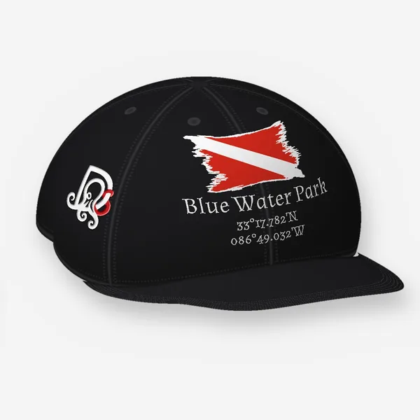 Blue Water Park cap, black Flexfit 6277: the site block in white on the front, DS mark embroidered on the side