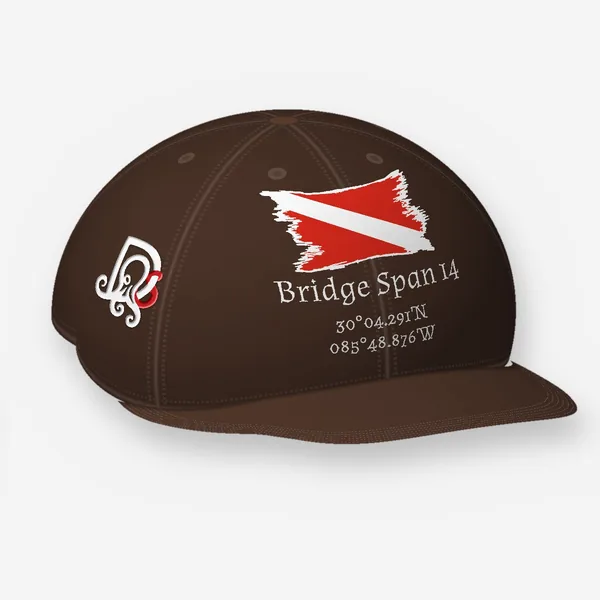 Bridge Span 14 cap, brown Flexfit 6277: the site block in white on the front, DS mark embroidered on the side