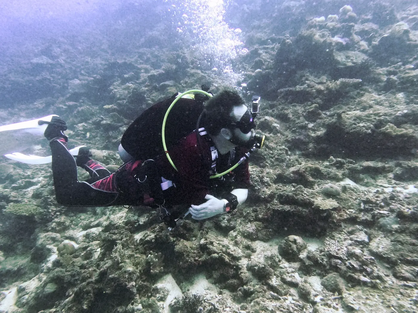 Eric swimming low over a coral reef in the Red Sea