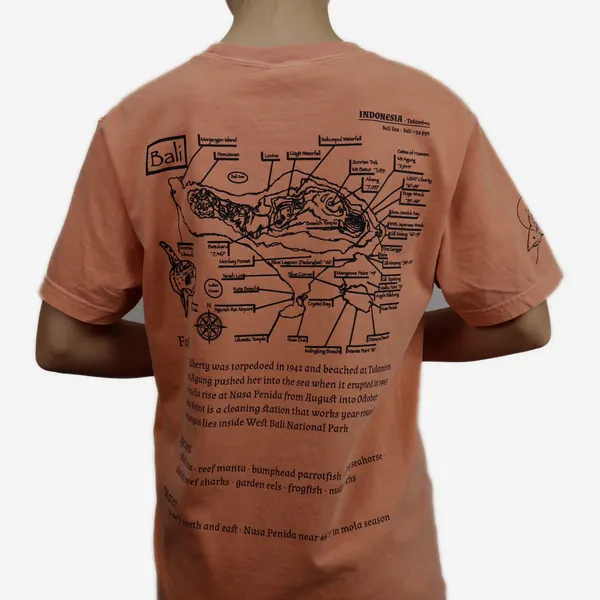 Bali shirt in terracotta, back view
