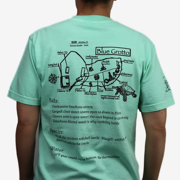 Blue Grotto shirt in mint, back view