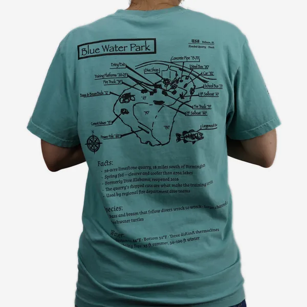Blue Water Park shirt in teal, back view