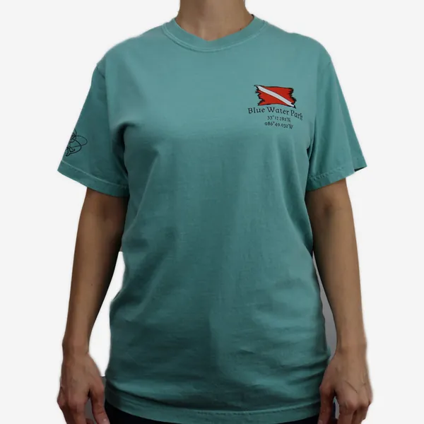 Blue Water Park shirt in teal, front view