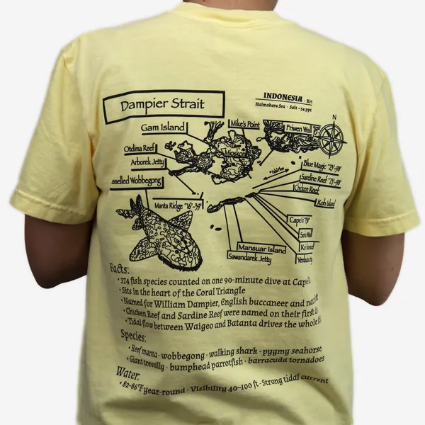 Dampier Strait shirt in butter, back view