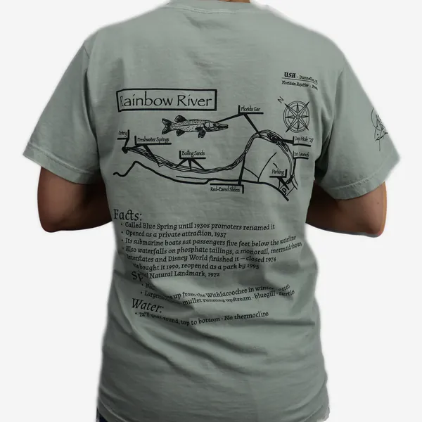 Rainbow River shirt in sage, back view