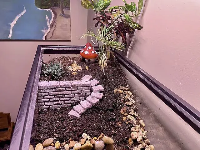 Wall and path