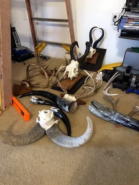 Horns in the workshop