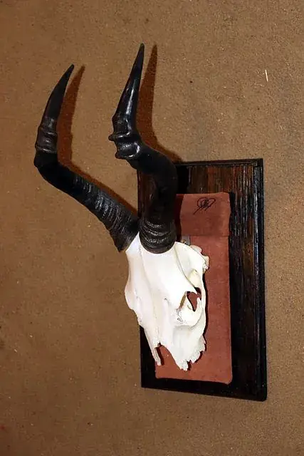 Mount on its plaque