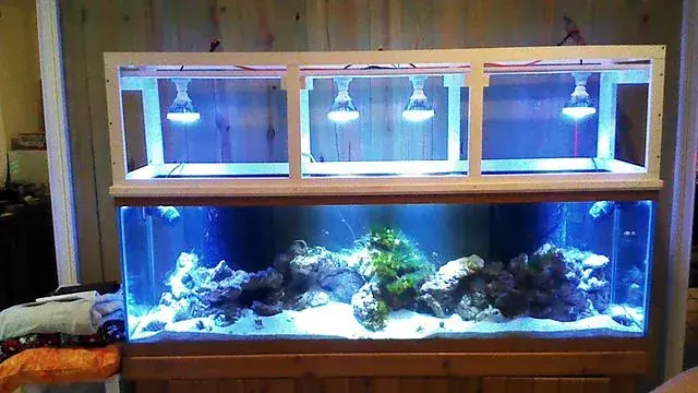 The first tank, 2013