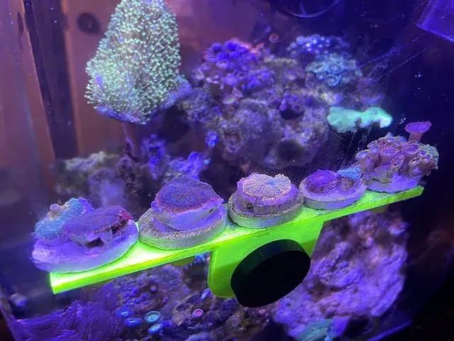 Frag rack
